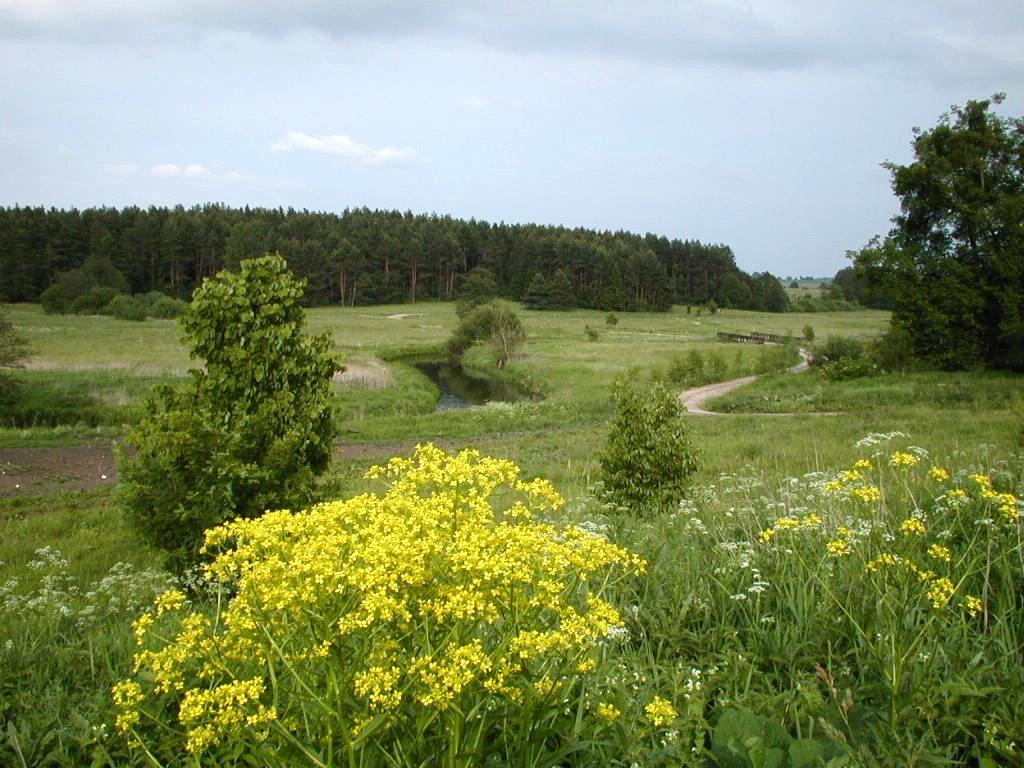 Palac Wojciechy Kültér fotó